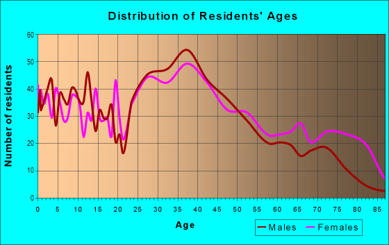 Age and Sex of Residents in Downtown in Bay Shore, NY