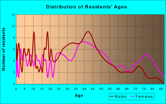 Age and Sex of Residents in Downtown in Bethpage, NY