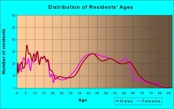 Age and Sex of Residents in VIllage Hill in Huntington Station, NY