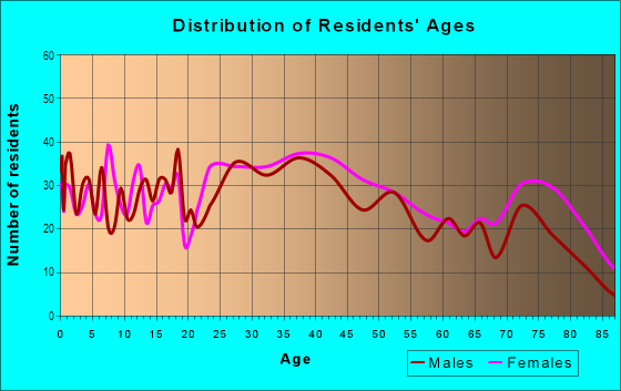 Age and Sex of Residents in Northwest Endicott in Endicott, NY