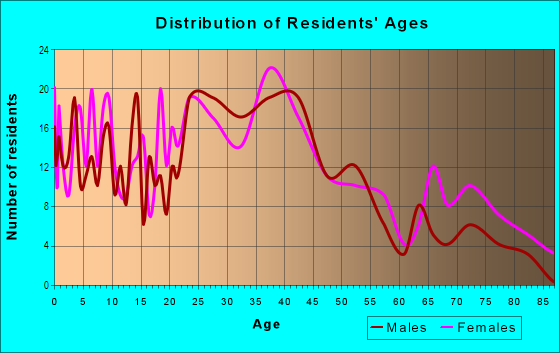Age and Sex of Residents in Southside Riverview Endicott in Endicott, NY