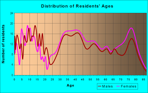 Age and Sex of Residents in Central Endwell in Endicott, NY