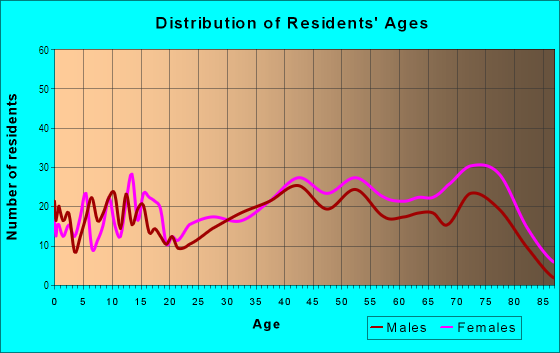Age and Sex of Residents in Northwest Endwell in Endicott, NY