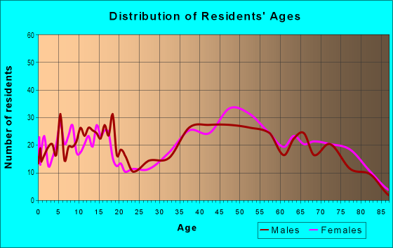 Age and Sex of Residents in Northeast Endwell in Endicott, NY