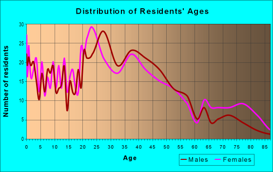 Age and Sex of Residents in Central Johnson City in Johnson City, NY