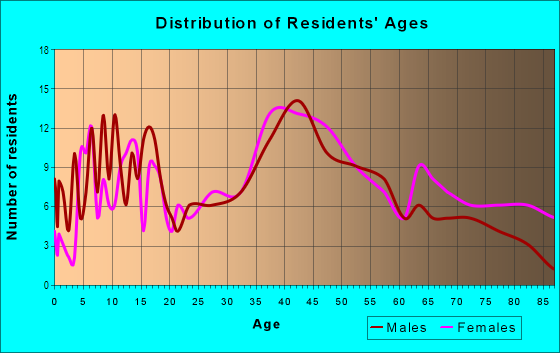 Age and Sex of Residents in Choconut Center in Johnson City, NY