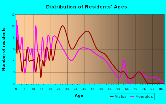 Age and Sex of Residents in Downtown Johnson City in Johnson City, NY