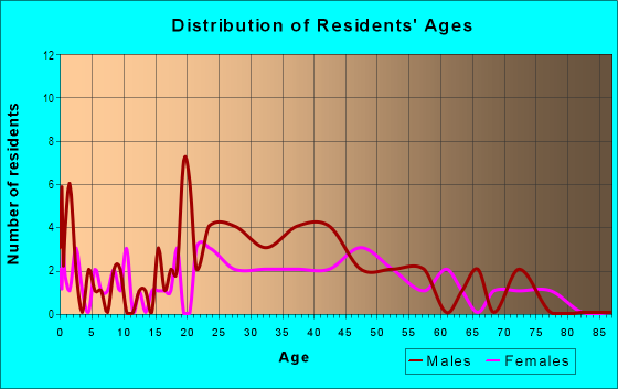 Age and Sex of Residents in Downtown Endicott in Endicott, NY