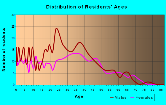 Age and Sex of Residents in Downtown in Spring Valley, NY