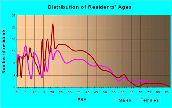 Age and Sex of Residents in Downtown in Port Chester, NY