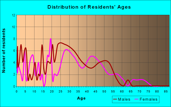 Age and Sex of Residents in Fulton Street in White Plains, NY