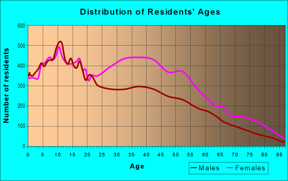 Age and Sex of Residents in New Lots in Brooklyn, NY
