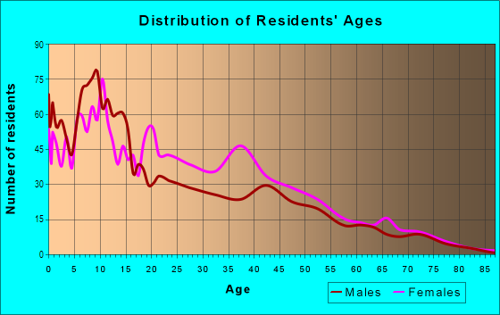 Age and Sex of Residents in South Marketview Heights in Rochester, NY