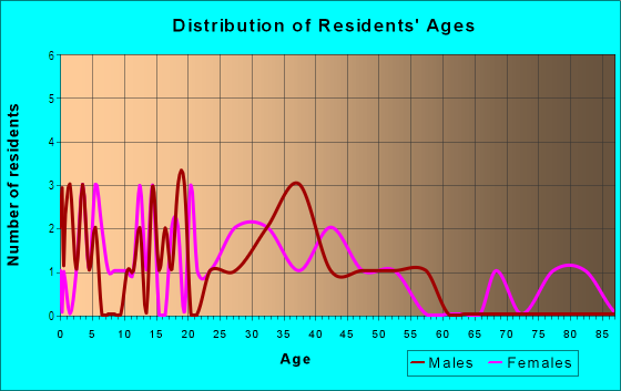Age and Sex of Residents in Downtown Amherst in Amherst, OH