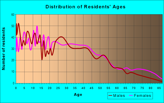 Age and Sex of Residents in Downtown Norwalk in Norwalk, OH