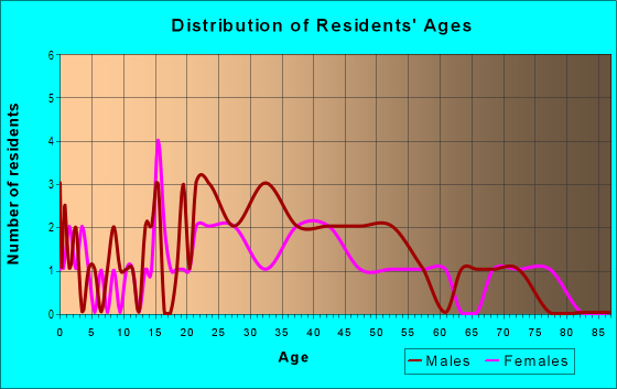 Age and Sex of Residents in Meridian Avenue Hospitality Corridor in Oklahoma City, OK