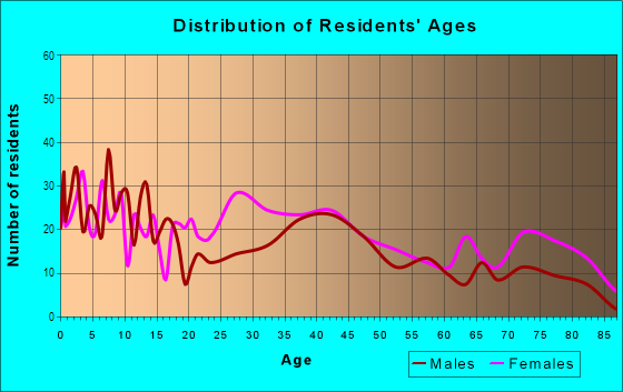 Age and Sex of Residents in Spring Hill-City View in Pittsburgh, PA