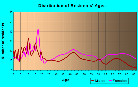 Age and Sex of Residents in Larimer in Pittsburgh, PA