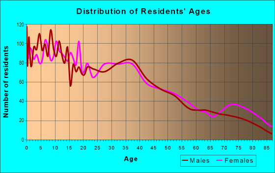 Age and Sex of Residents in Southside in Reading, PA