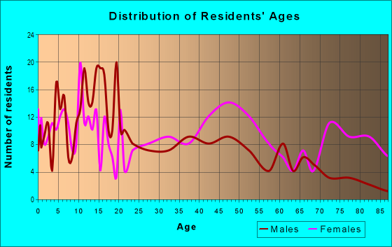 Age and Sex of Residents in Bushtown in Chattanooga, TN