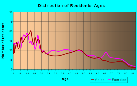Age and Sex of Residents in New Chicago in Memphis, TN