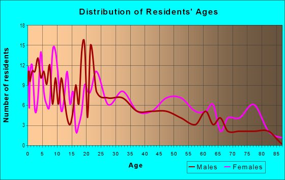 Age and Sex of Residents in St. Peter's Historical District in Laredo, TX