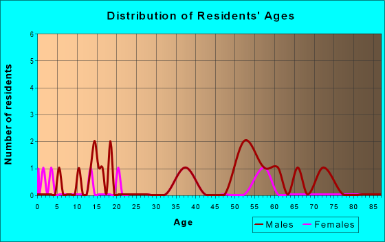 Age and Sex of Residents in Old Mercado Historical District in Laredo, TX