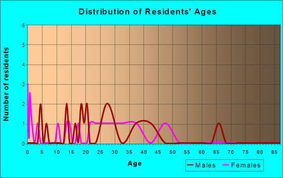 Age and Sex of Residents in Wood Forest in Bryan, TX