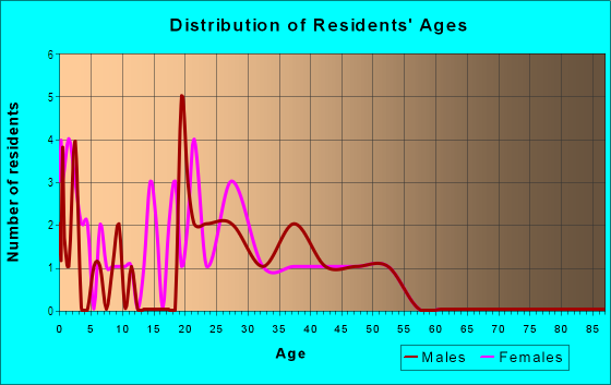 Age and Sex of Residents in Old Town Historic District in Arlington, TX