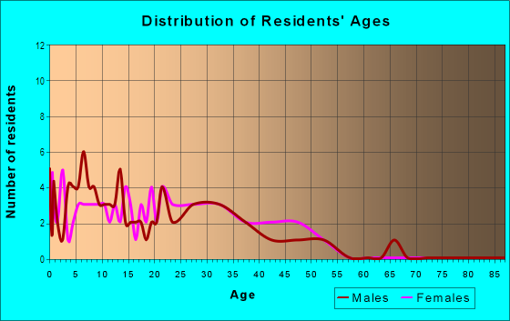 Age and Sex of Residents in Winsor Place Apts in Plano, TX