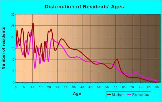 Age and Sex of Residents in Johnston Terrace in Austin, TX