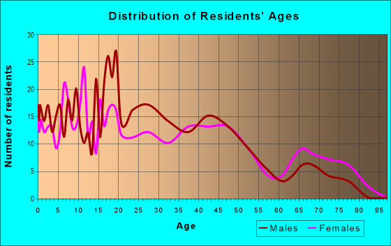 Age and Sex of Residents in Spring Branch in Houston, TX