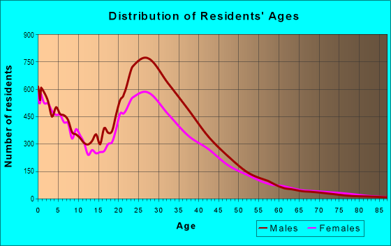 Age and Sex of Residents in Gulfton in Houston, TX