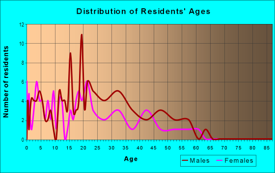 Age and Sex of Residents in El Poly Pyramid in Fort Worth, TX