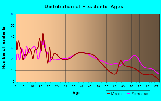 Age and Sex of Residents in Hillside Morningside in Fort Worth, TX