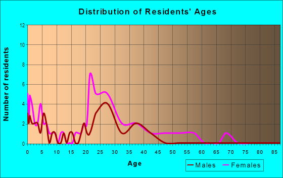 Age and Sex of Residents in Big Town in Mesquite, TX