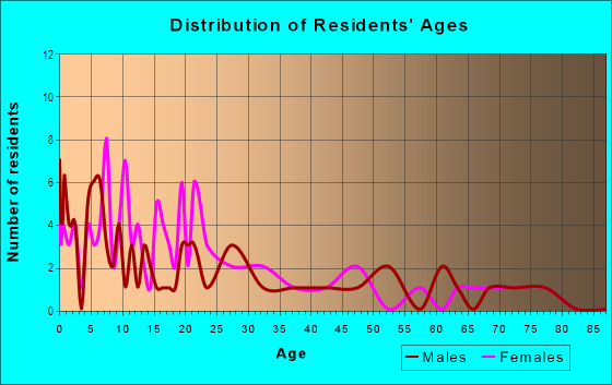 Age and Sex of Residents in Chihuahuita in El Paso, TX