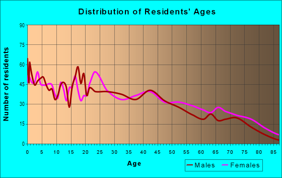 Age and Sex of Residents in Rio Grande in El Paso, TX