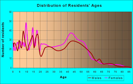 Age and Sex of Residents in Las Palmas in El Paso, TX