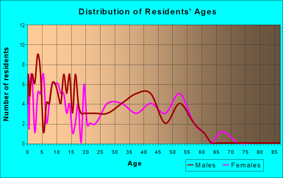 Age and Sex of Residents in New World in Garland, TX