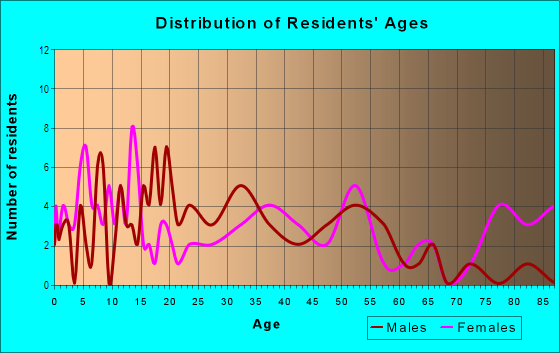 Age and Sex of Residents in Downtown Terrell in Terrell, TX