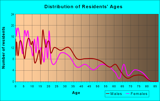 Age and Sex of Residents in La Bajada in Dallas, TX