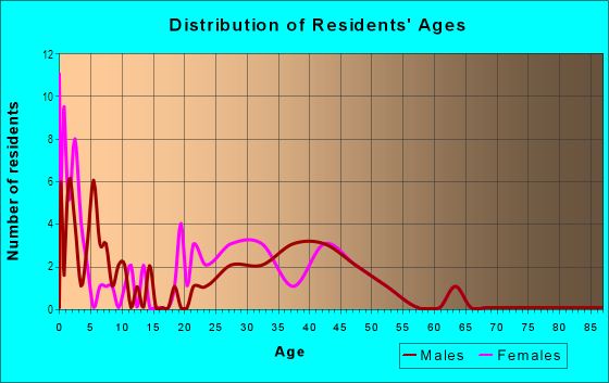 Age and Sex of Residents in Convention Center District in Dallas, TX