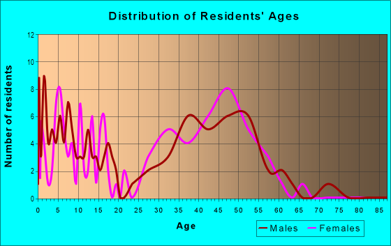 Age and Sex of Residents in Belle Court in Houston, TX