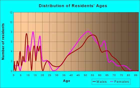 Age and Sex of Residents in Denbigh Plantation in Newport News, VA