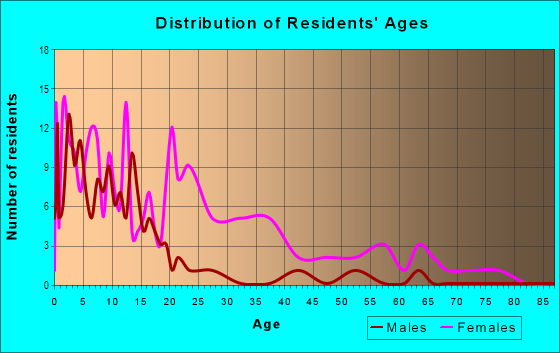 Age and Sex of Residents in Calvert Square in Norfolk, VA