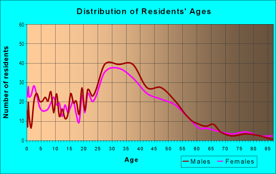 Age and Sex of Residents in North Delridge in Seattle, WA