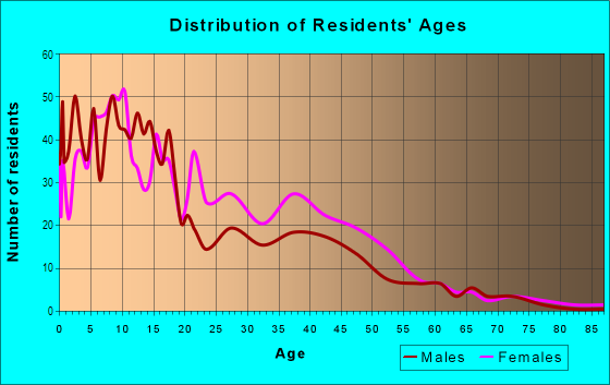 Age and Sex of Residents in Metcalfe Park in Milwaukee, WI