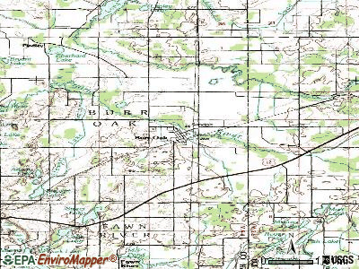 Burr Oak topographic map