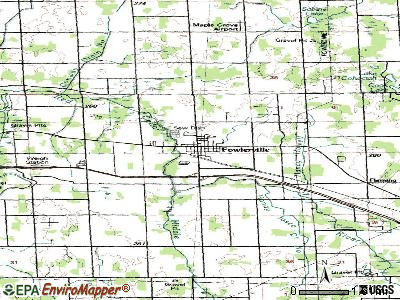 Fowlerville topographic map